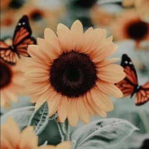 Meet your Posher, Mckenzie